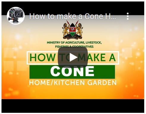 How to make a Cone Home/Kitchen Garden